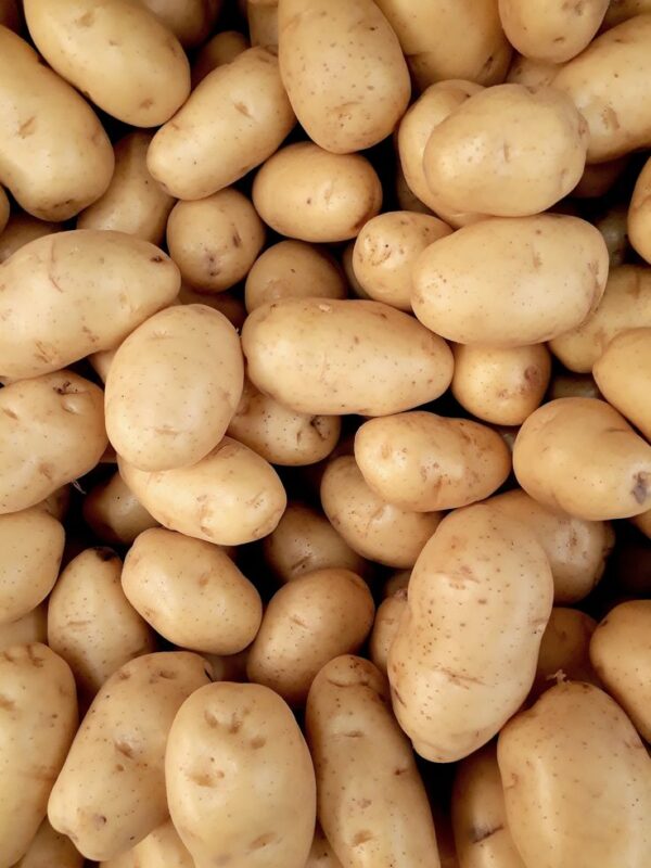 Fresh, firm, and premium-quality potatoes